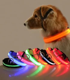 Collar LED fluorescente de nailon para perro, seguridad nocturna, parpadeante, brilla en la oscuridad.