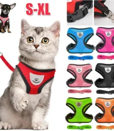 Arnés para perros y gatos con correa, chaleco ajustable de malla de poliéster reflectante y transpirable