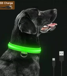 Collar Led Usb para perros y gatos, Collar de prevención de pérdida de perro con brillo Led nocturno desmontable